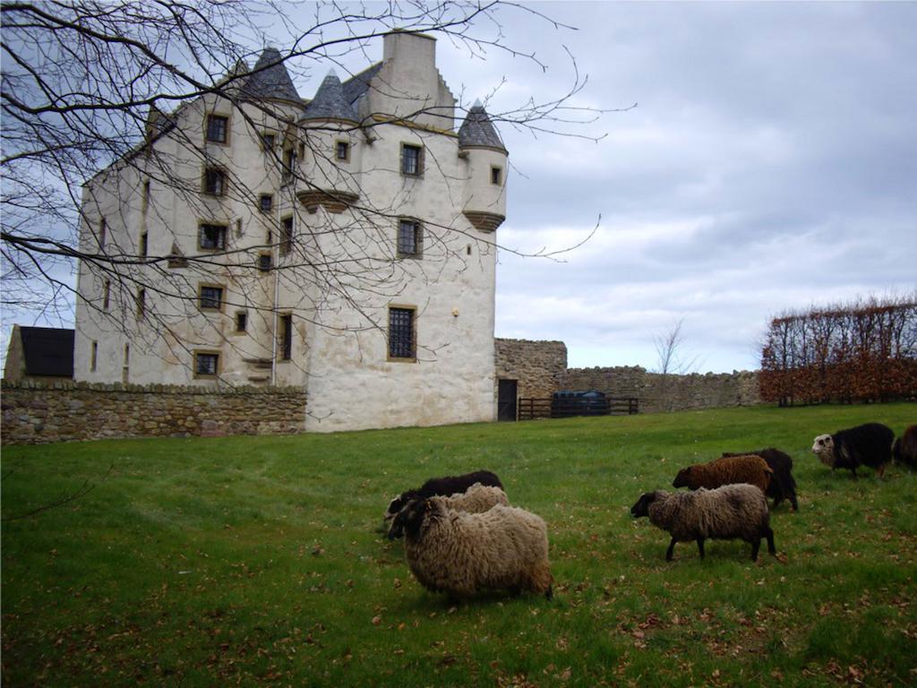 Bed and Breakfast Faside Estate Musselburgh Exterior foto