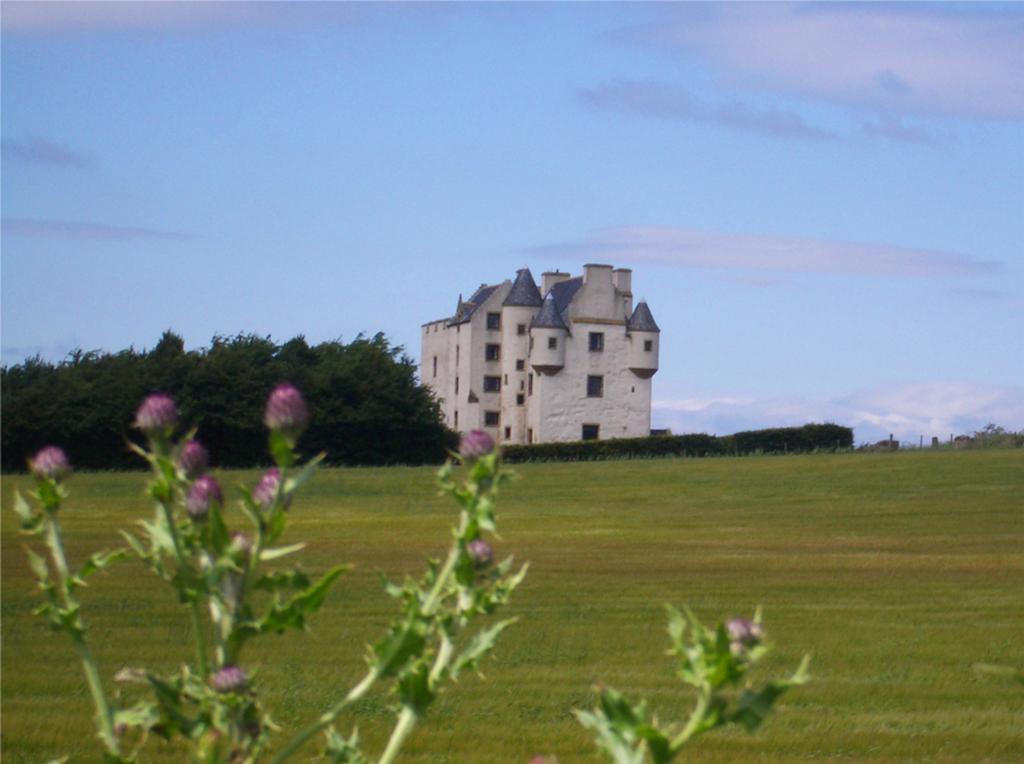 Bed and Breakfast Faside Estate Musselburgh Habitación foto